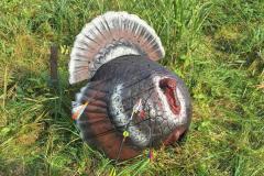 Jammertal-Heek-2024_1-26